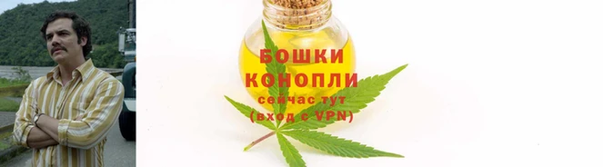 сатива Балабаново