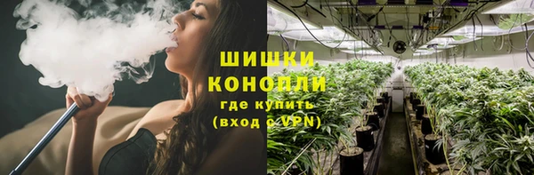 тгк Армянск