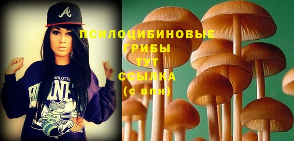 сатива Балабаново