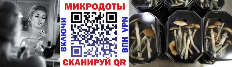 Галлюциногенные грибы Psilocybine cubensis  нарко площадка как зайти  Красный Кут 
