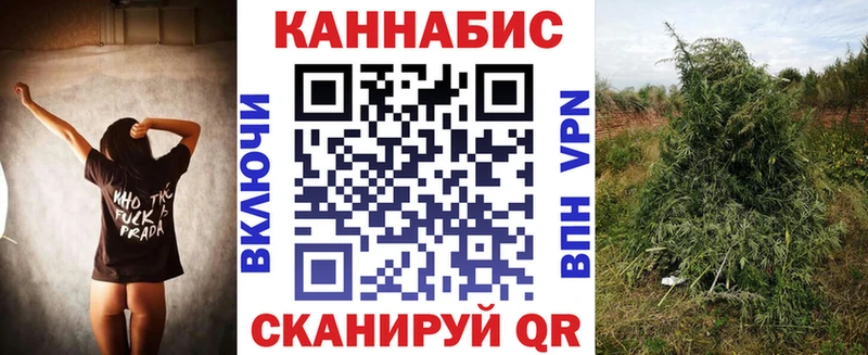 цены наркотик  Красный Кут  ссылка на мегу зеркало  МАРИХУАНА сатива 
